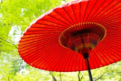 Japanese Traditional Umbrella