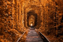 love tunnel in autumn. a railway in the autumn forest. Tunnel of Love, autumn trees and the railroad