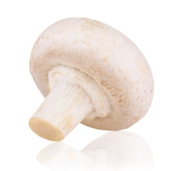 Fresh mushroom champignon isolated on white background