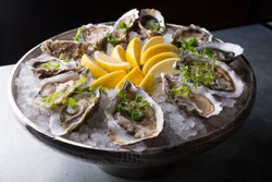 Oysters platter with lemon and ice served on a bar counter