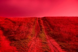 Black Sea Steppe (Red prairie). Enticing field Road stretching into distance and unknown (beyond the horizon). New impressionistic art, impressionist infrared photo