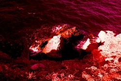 Rock in the sea (standing over a cliff), wild scenery. New impressionistic art, impressionist infrared photo