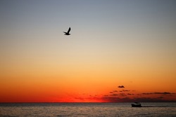 Sunset sky (sun has set, clouds illuminated by rays) over sea. Seagull and fishing schooner returns home. The day is drawing to its close. Romantic impression of summer vacation, travel photo