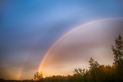 Rainbow Mist Forest - Free Stock Photo by Nicolas Raymond on Stockvault.net