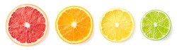Colorful citrus fruit slices isolated on white background, top view. Grapefruit, orange, lemon and lime