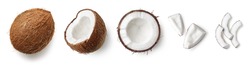 Set of fresh whole and half coconut and slices isolated on white background, top view
