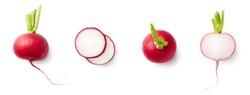 Set of fresh whole and sliced radishes isolated on white background. Top view