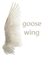 Natural white goose wings. Isolation.
