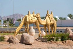 Sculptures of camels on the route Sharmal Sheikh in Egypt