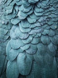 Blue feathers background