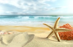 Starfish on the Beach.