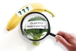 Whats In Your Food label on broccoli with magnifying glass -- food safety or GMO concept                               