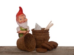 Coir plant pots and compressed compost with wooden labels, seeds and generic garden gnome. Environmentally friendly spring gardening. Isolated on white background.