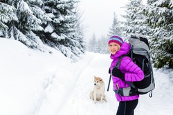 Woman hiking trekking in winter woods with akita dog. Recreation fitness and healthy lifestyle outdoors in beautiful snowy nature. Motivation and inspirational white winter landscape.