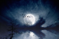 Night sky with full moon, flock of flying ravens, crows, old tree; reflection in water. Elements of this image furnished by NASA