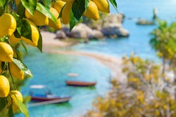 Bunches of fresh yellow ripe lemons with green leaves. Narrow path connects island to mainland Taormina beach in azure waters of Ionian Sea, Sicily, Italy.