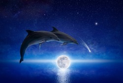 Two dolphins leap across glowing full moon that hovers low above serene sea. There are bright stars and comet in dark blue night sky. Elements of this image furnished by NASA.