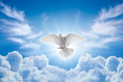 Holy Spirit came down in bodily shape, like dove. Bright light shines from heaven, white dove is symbol of purity, love and peace.