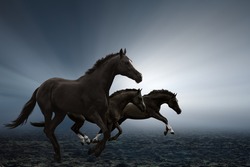 Three black horses running on field, bright light shines through fog