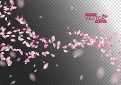 Sakura falling petals. Vector pink flying petals with blurred defocused transparent detail