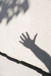 Urban summer mood. Shadow of the human hand with fingers and leaves on the white wall. Gray concrete textured background. Funny greeting wallpaper. Modern simple design. 
