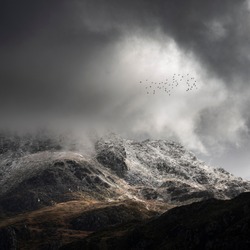 Stunning moody dramatic Winter landscape image of snowcapped Tryfan mountain in Snowdonia during stormy weather with birds flying high above