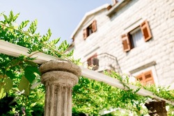 Stone column in the Greek style in the patio entwined with ivy
