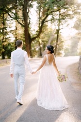 The bride and walk holding hands on the road among the trees in an olive grove, back view 