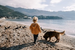 Little girl stands with a dog on a pebble beach and looks at the pigeons. Back view
