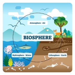 Ecosystem Word Indicates Earth Environmentally And Biospheres - Free ...