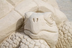 Portrait of a large tortoise carved in sand at a sand festival on a public beach in Florida, for motifs of ephemeral art and endangered species
