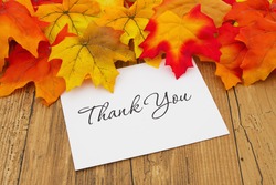 Thank You, Autumn Leaves on weathered grunge wood with a Thank You Card
