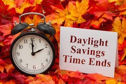 Daylight Savings Time Ends, Some fall leaves, black and white alarm clock and a blank greeting card with copy-space