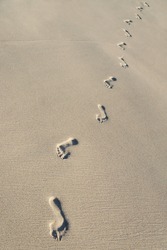Footprints on sea beach sand - vertical background