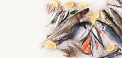 Fresh fish and seafood. Healthy eating. Top view  with copy space. Panorama, banner