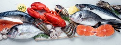 Assortment of fresh raw fish and seafood. Healthy and balanced diet or cooking concept. Top view, panorama, banner