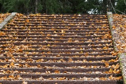 Abstract background photo with an empty stone stairway in an autumn park