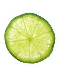 A macro shot of a lime-slice