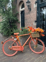 Dutch city bicycle painted orange parked along a brick building in Holland. Colorful bike in Utrecht, the Netherlands. 