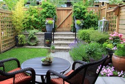 Small townhouse garden with patio furniture amidst blooming lavender. 