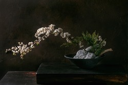Spring ikebana. Minimalistic floral composition with spring blooming white flowers, thuja branch and stones in black ceramic bowl, standing on black wooden table. Japanese style home decor