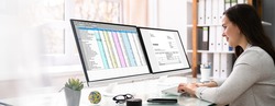 Using Corporate Invoice Spreadsheet On Computer Monitors