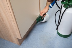 Close-up Of Pest Control Worker Hand Holding Sprayer For Spraying Pesticides On Cabinet