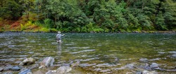 Fly fisherman Spey casting for steelhead on the wild and scenic Rouge River in Southern Oregon