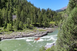Whitewater rafting on the Snake River near Jackson Hole, Wyoming
