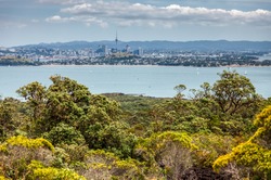 Skyline of Auckland in New Zealand from the top of Rangitoto Island