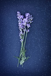 Fresh herbs, lavender sprigs on a dark stone