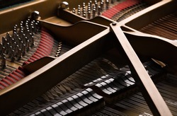 Interior under the lid of grand piano: pins and moderators