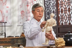 The old doctor of traditional Chinese medicine research model of the human body acupuncture point