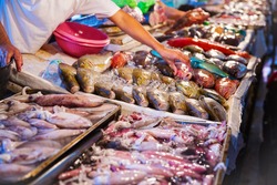 Different kinds of seafood at fish market